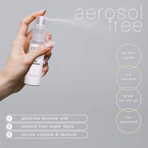 Hair Craft Co. CRVFT Non-Aerosol Dry Shampoo Powder for Women - Oil and Grease Absorption, Travel Size, Paraben and Sulfate Free, Adds Volume, Refreshes Hair, Scented, 1.58 Ounces