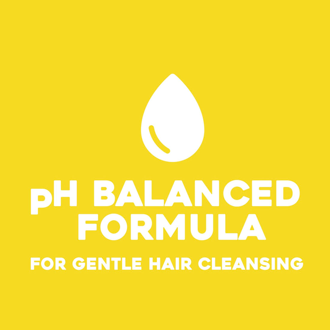 OGX Hydrate + Defrizz Kukui Oil Shampoo, 13 Ounce