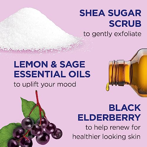 Dr Teal's Shea Sugar Body Scrub, Black Elderberry with Essential Oils, 19 oz (Pack of 3)