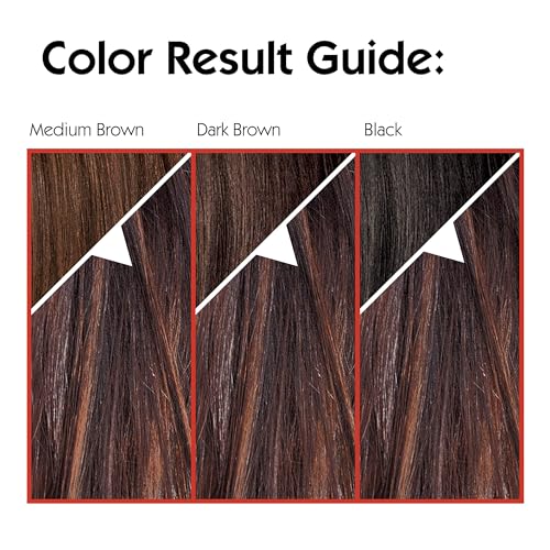 L'Oreal Paris Couleur Experte 2-Step Home Hair Color and Highlights Kit, French Éclair