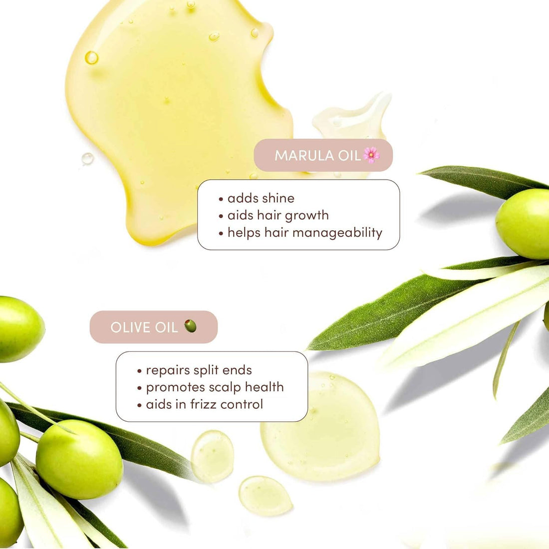 Mizani True Textures Moisture Replenish Shampoo | with Coconut Oil | Sulfate & Paraben-Free | for Curly Hair | 33.8 Fl Oz