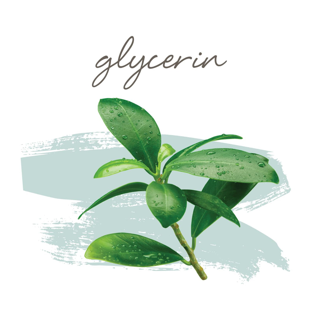 Hairitage Leave-in Conditioner Spray - Leave-In Hair Treatment - Detangles + Fortifies - Reduces Breakage + Deep Conditions, 6 fl oz