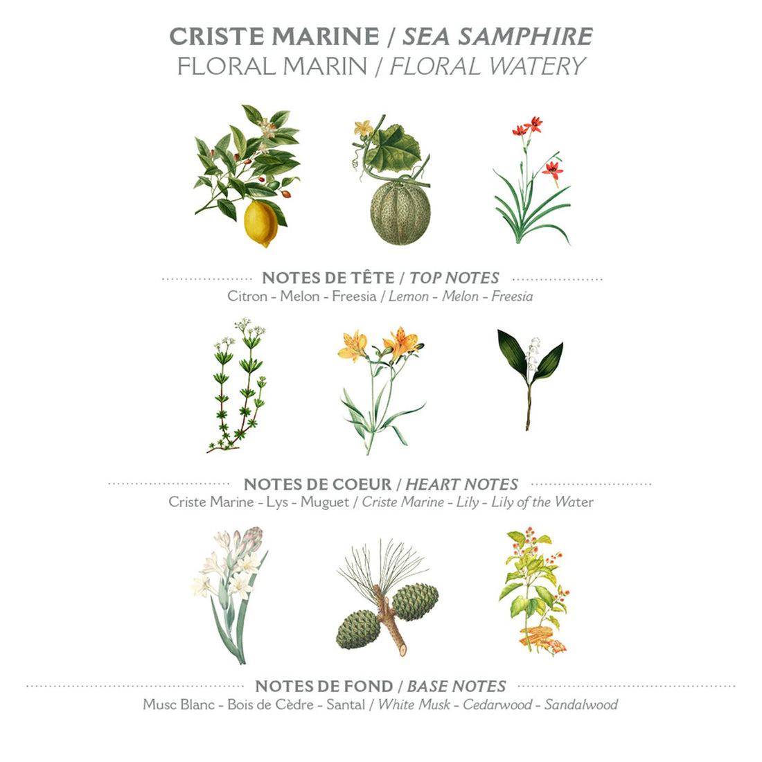 Panier des Sens Sea Samphire Eau de Toilette - 1.7floz/50ml