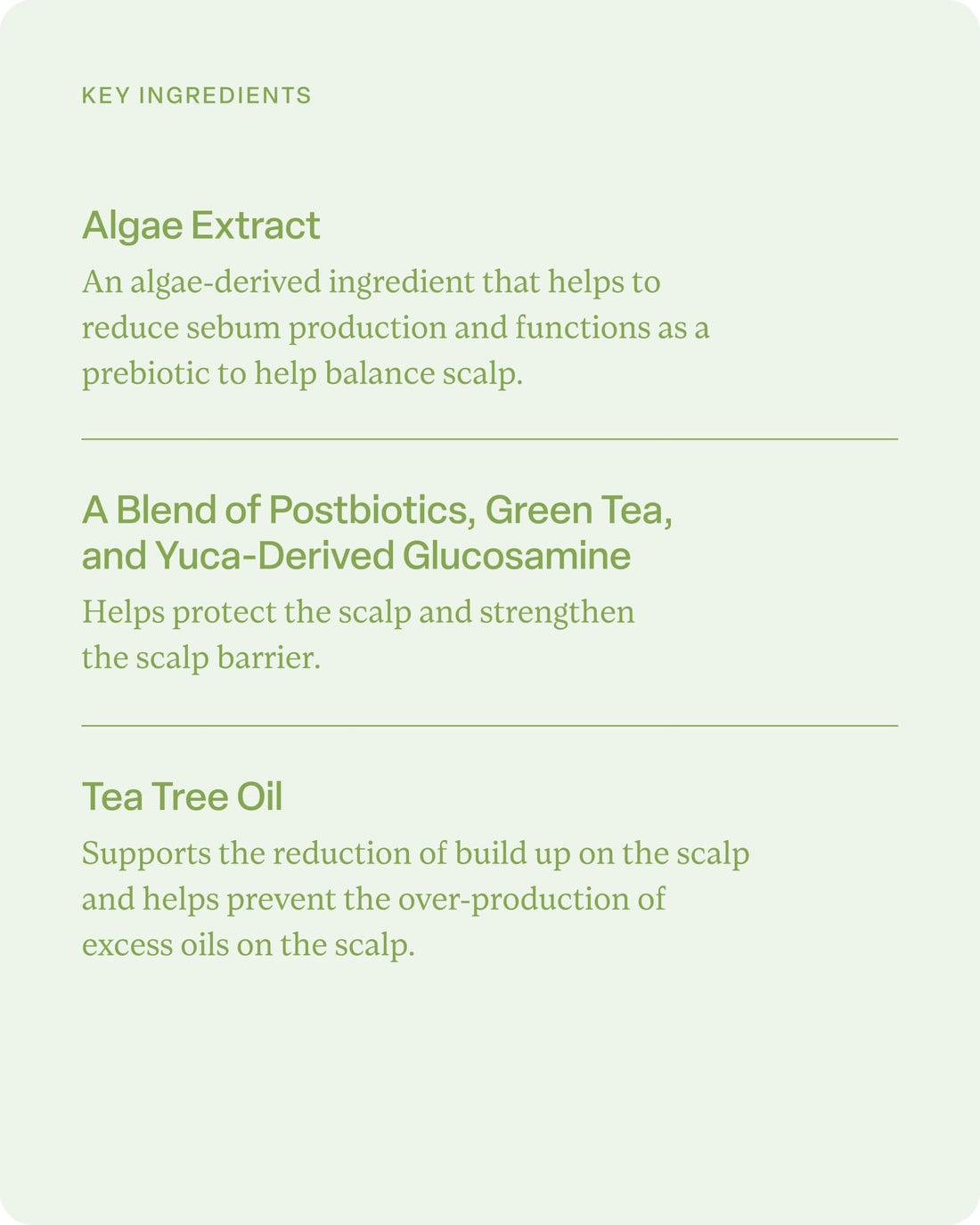 divi Hydrating Shampoo for Women and Men - Gently Cleanses and Removes Scalp Buildup - Hydrates, Strengthens, and Nourishes Hair - Vegan, Cruelty-Free, Paraben-Free - Travel Size, 2 Fl Oz