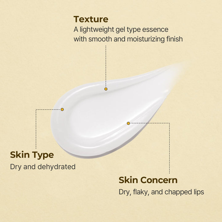 Torriden SOLID In Ceramide Lip Essence 0.37 fl.oz * 2 (Pack of 2) | Moisturizing Lip Essence for Glowy, Plumped, and Radiant Lip | Korean Lip Balm