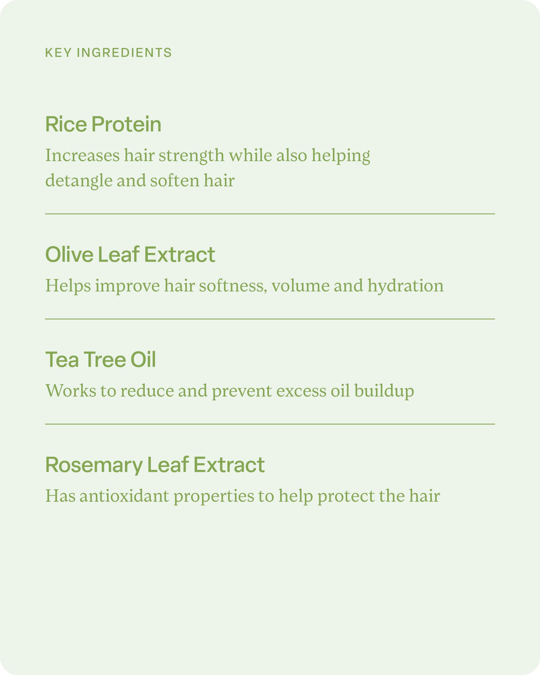 divi Volumizing Conditioner for Women and Men - Lightweight Volume Conditioner for Fine Hair - Designed to Strengthen and Protect the Hair from Damage, 12 Fl Oz.