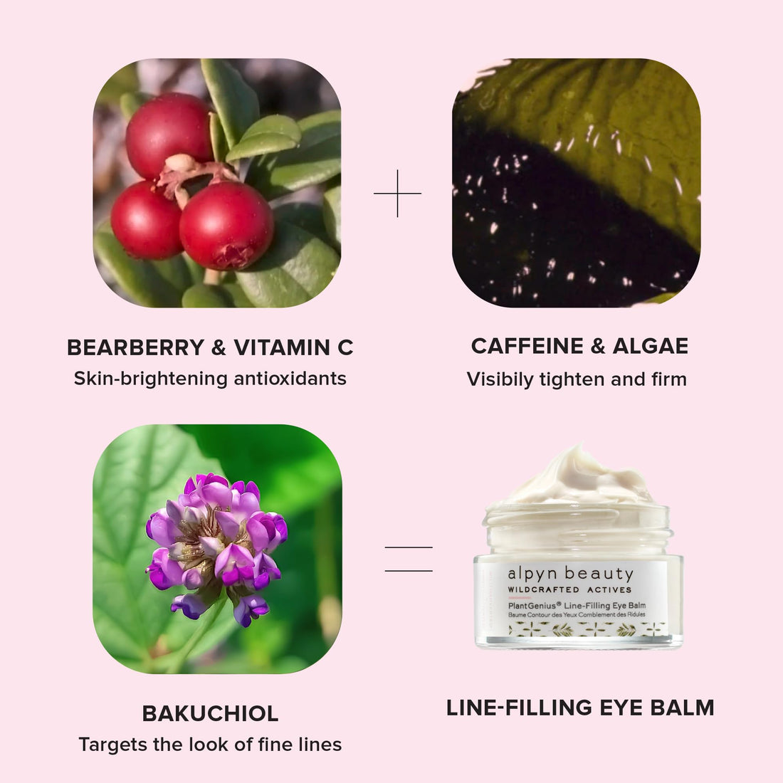 Alpyn Beauty - Natural Plantgenius Line-Filling Eye Balm (.5 Fl Oz | 14 Ml)