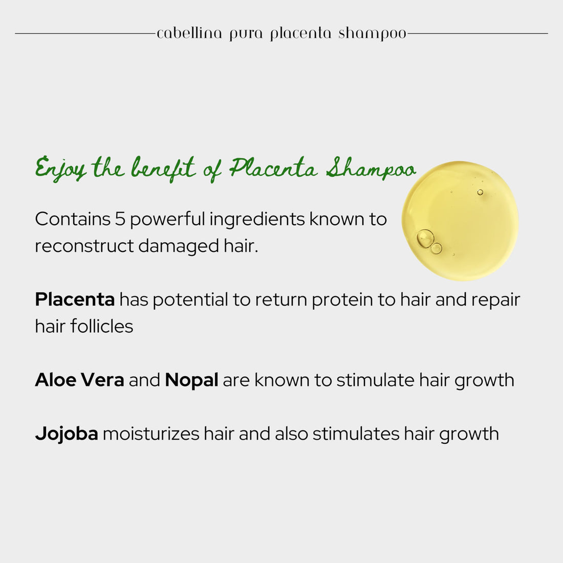 Cabellina Reconstructor Shampoo with Proteins, Keratin Amino Acids & Natural Oils. Includes Root Brush - 32 fl oz - PURA PLACENTA (1 Count)