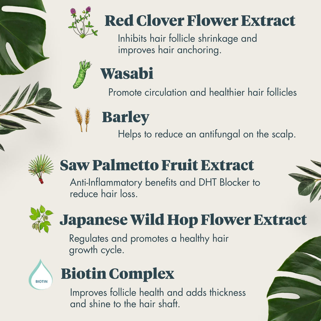 REVIV3 ProCare BOOST: Biotin Cellular Complex by Revive Procare