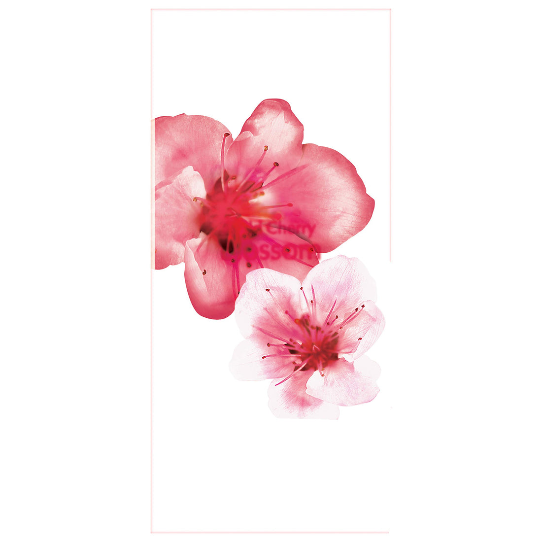 Suave Essentials Body Wash, Wild Cherry Blossom 12oz (Pack Of 6)