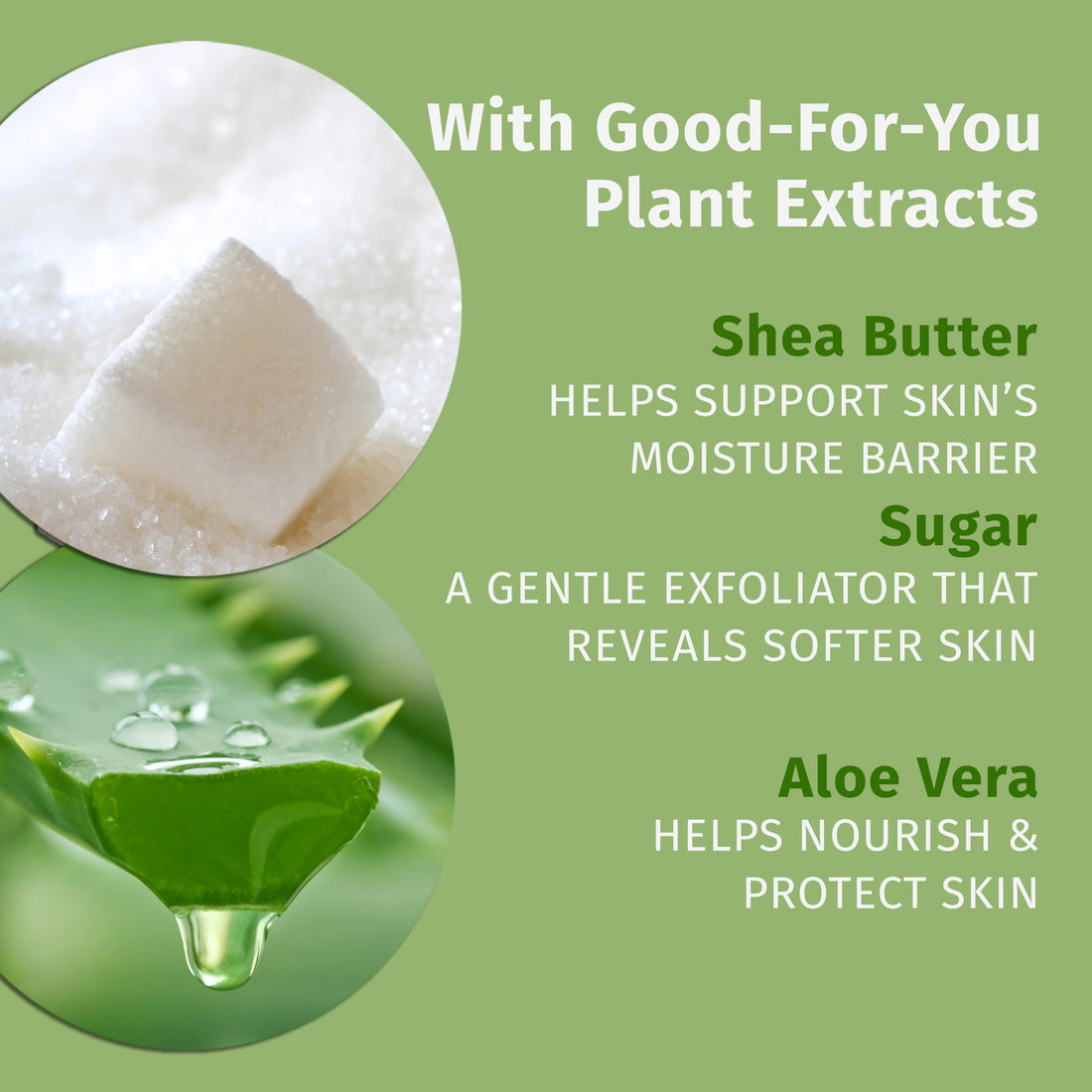 Hempz Age Defying Body Moisturizer, 17 Fl Oz, 2 Pack Bundle - Daily Herbal Moisturizer, Shea Butter Anti-Aging - Body Lotion, Hemp Extract Lotion - Skin Care Products, 100% Pure Organic Hemp Seed Oil