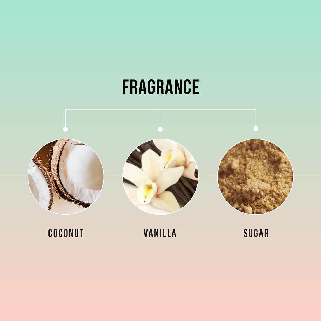 HASK Nourishing Monoi Coconut Shine Oil Vial 18 ml