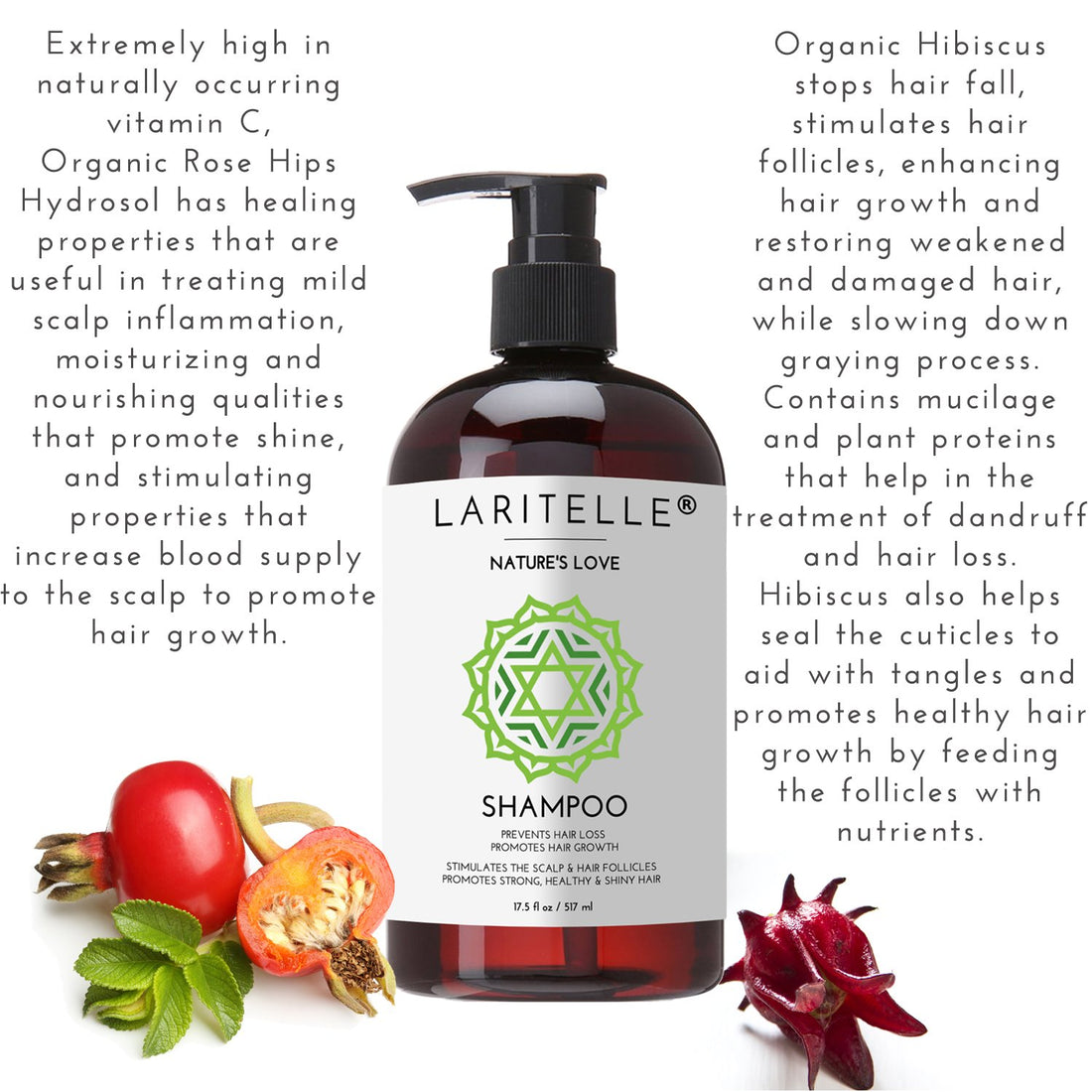 Laritelle Organic Shampoo 17 oz + Conditioner 16 oz | Prevents Hair Loss, Promotes Hair Growth | Argan Oil, Rosemary, Ginger & Cedarwood | NO GMO, Sulfates, Gluten, Alcohol, Parabens, Phthalates