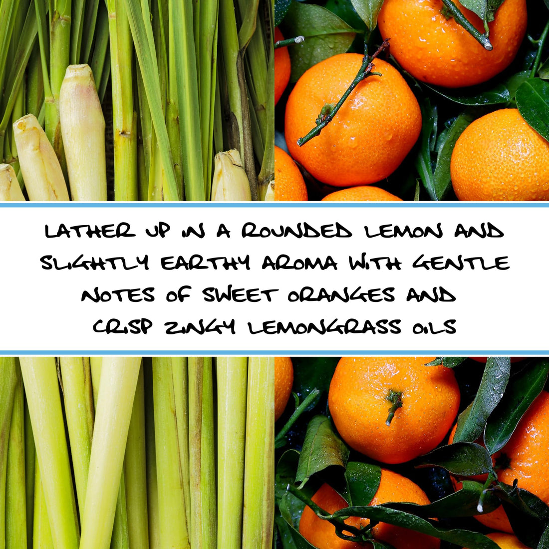 Bluebyrd Soap Orange Lemongrass Goat Milk Bar Soap | Pure Goat Milk Essential Oil Scented Natural Soap | Made for Psoriasis, Eczema, & Dry Sensitive Skin (Orange Lemongrass)