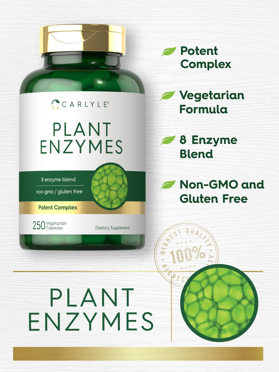 Carlyle Plant Enzymes with Protease, Papain, Lactase and Bromelain | 250 Capsules | Multi Enzyme Blend | Non-GMO & Gluten Free Supplement