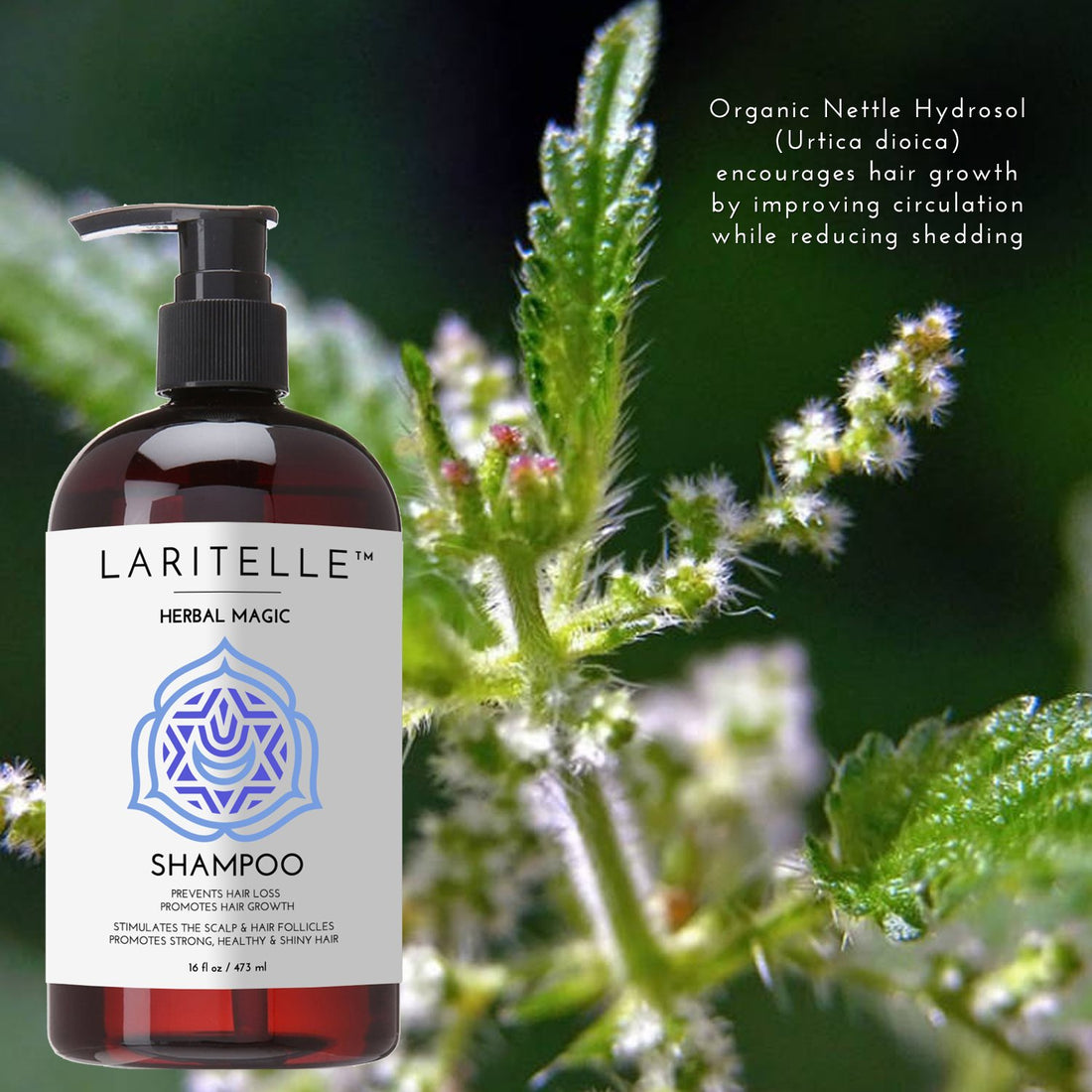 Laritelle Organic Unscented Hypoallergenic Shampoo 17.5 oz. Rosemary & Saw Palmetto. NO SLS/GMO/Parabens. GF