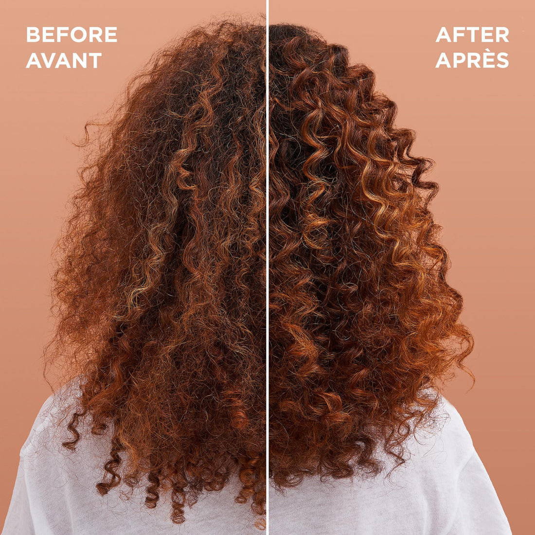 Garnier Whole Blends Coconut Oil/Cocoa Butter Conditioner With Coconut Oil & Cocoa Butter Extracts For Oily Hair, 12.5 Fl Oz., Pack Of 1
