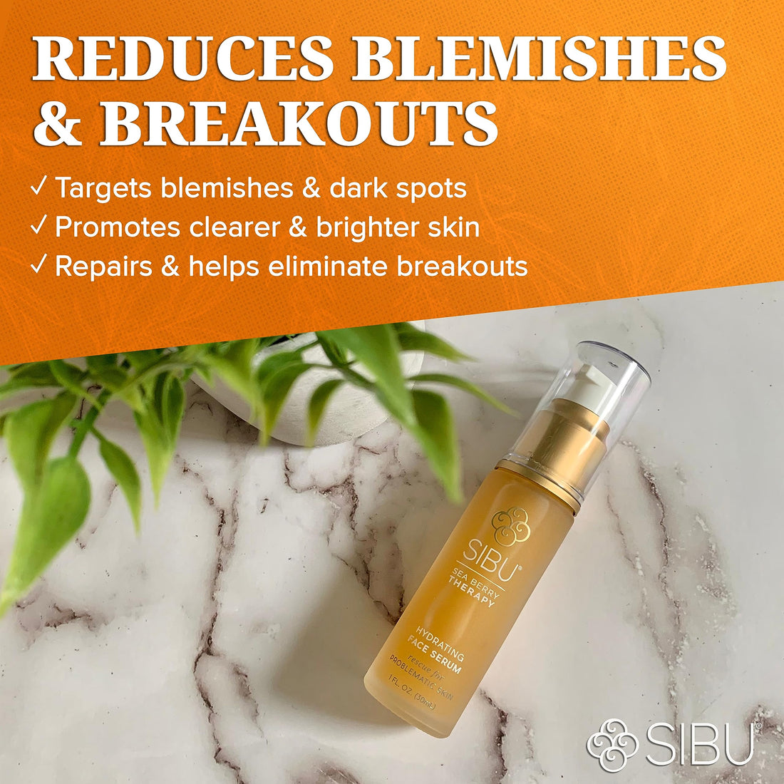 Facedoctor/Sibu Sea Buckthorn Hydrating Serum