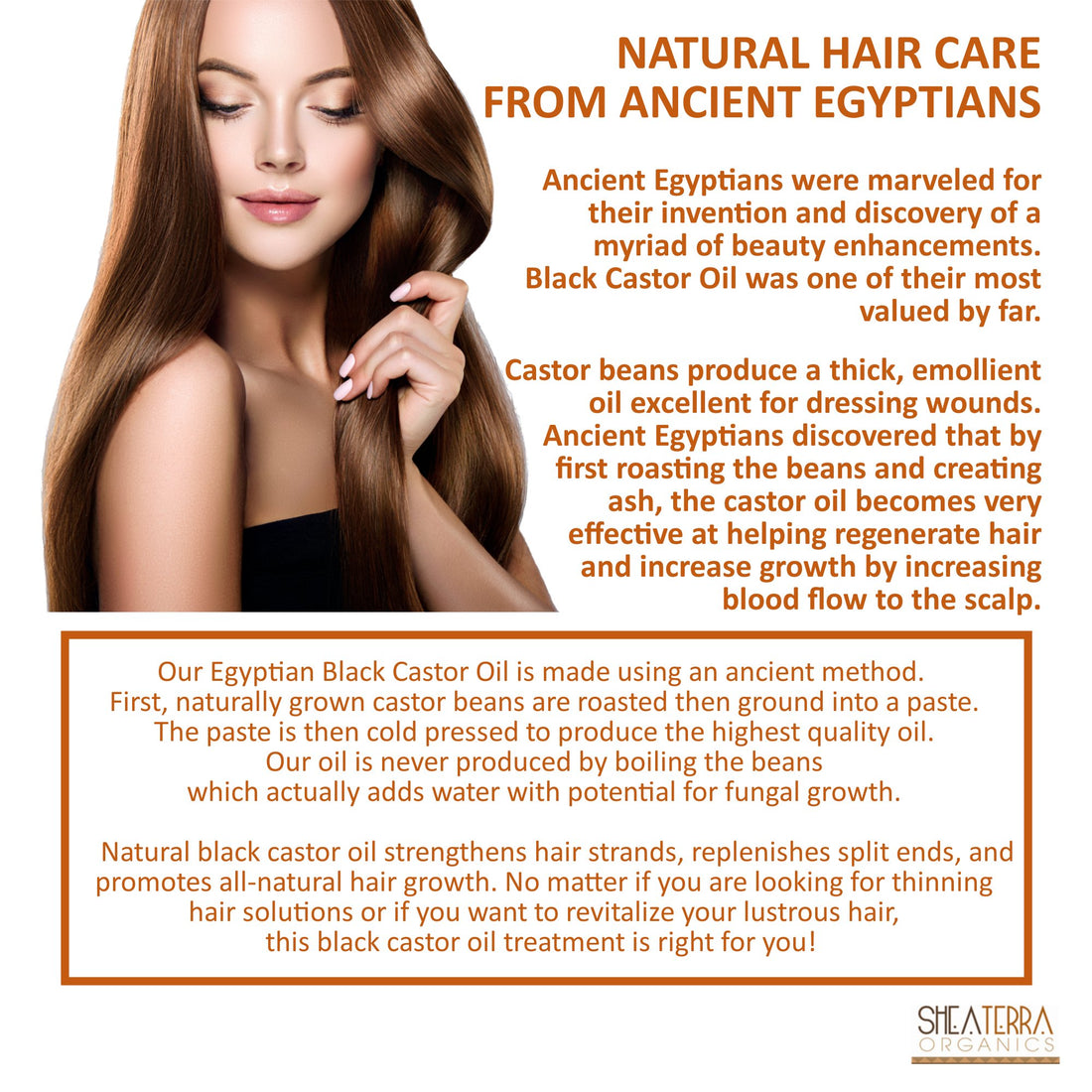 Shea Terra Organics 100 Percent Pure Egyptian Black Castor Extra Virgin Oil – Mango| All-Natural Strengthening and Conditioning Hair Oil for Healthy Hair Growth and Scalp– 8 oz