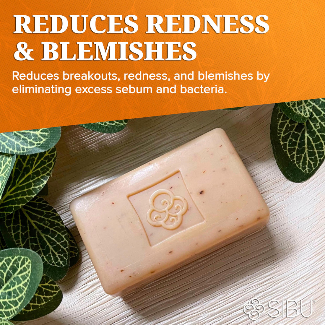 Sibu International Cleansing and Detoxifying Facial Bar Soap - 3.5 oz - Pack of 3