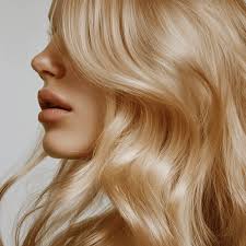 Hair Bleach & Developer