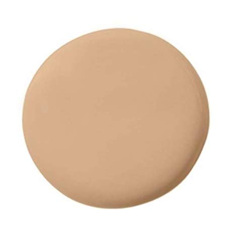 Temptu Perfect Canvas Hydra Lock Airbrush Foundation