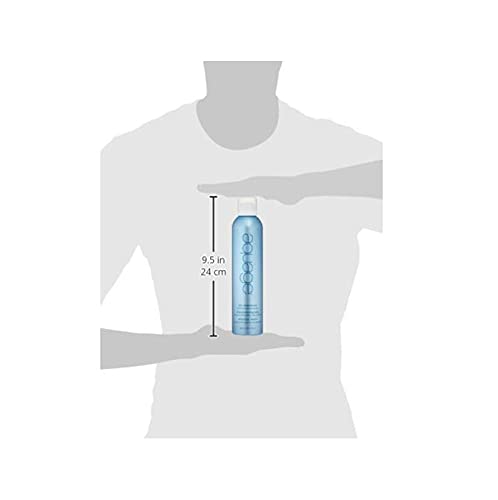 AQUAGE Dry Shampoo Style Extending Spray, Combines Oil-Absorbing Benefits of a Dry Shampoo with Volumizing Benefits of a Texturizing Spray, 8 oz