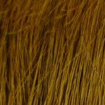 My Secret Correctives Root Touch-Up Spray 2 oz - Medium...