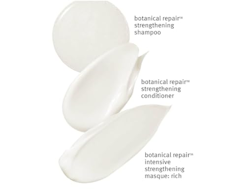 AVEDA Botanical Repair Rich Strengthening Set (3pcs 3.4 fl oz / 100 ml Each)