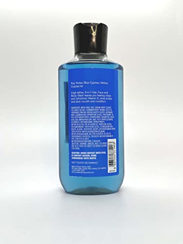 Bath & Body Works, Signature Collection 2-in-1 Hair + Body Wash, Ocean For Men, 10 Ounce