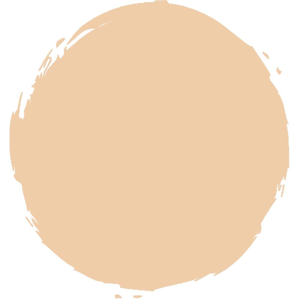 M.A.C Powder and Foundation, 15 gm