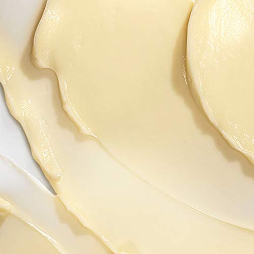 ZWS Bobbi Brown Vitamin Enriched Face Base Mini Size - 15 ml - 0.5 oz