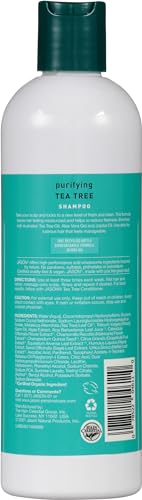 Jason Tea Tree Shampoo 12 oz