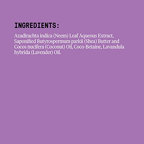 Alaffia - EveryDay Shea - Moisturizing Shea Butter Body Wash, Lavender, 32 Ounces