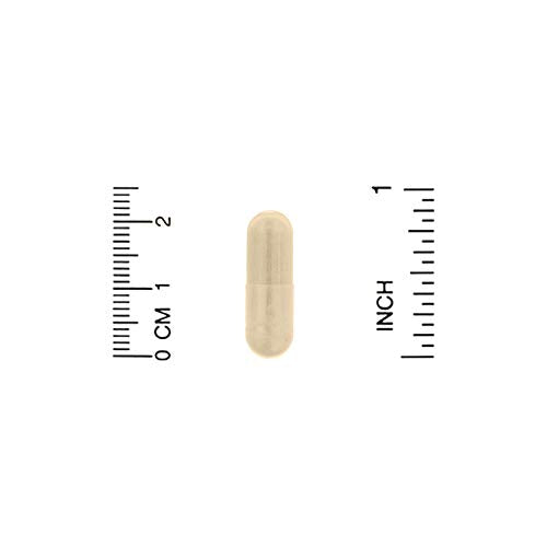 Nature's Way, Wild Yam - 180 vegicaps