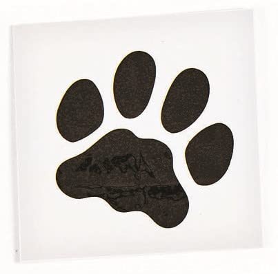 Puppy Dog Party Favor Childrens Temporary Tattoos 72 Pcs