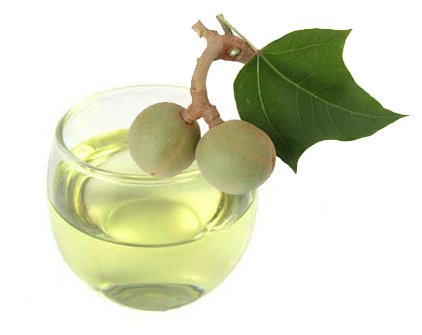 100% Organic Kukui Nut Oil | Imported From Hawaii | 2oz Glass Bottle | Glass Dropper | Natural Moisturizer for Skin, Hair and Face | By Sweet Essentials