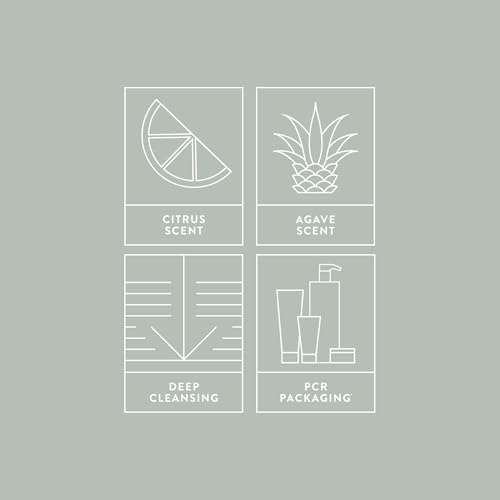 MITCH by Paul Mitchell Heavy Hitter Daily Deep Cleansing Shampoo for Men, For All Hair Types, 33.8 fl. oz.