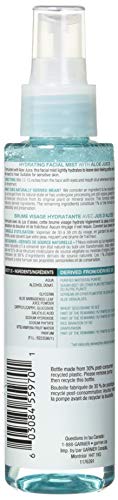Garnier Aloe Hydrating Facial Mist Facial Treatments 4.4fl oz, pack of 1