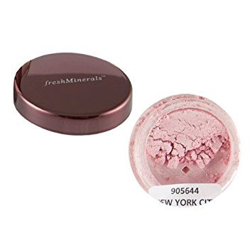 freshMinerals Mineral Loose Eyeshadow, New York City, 1.5 Gram