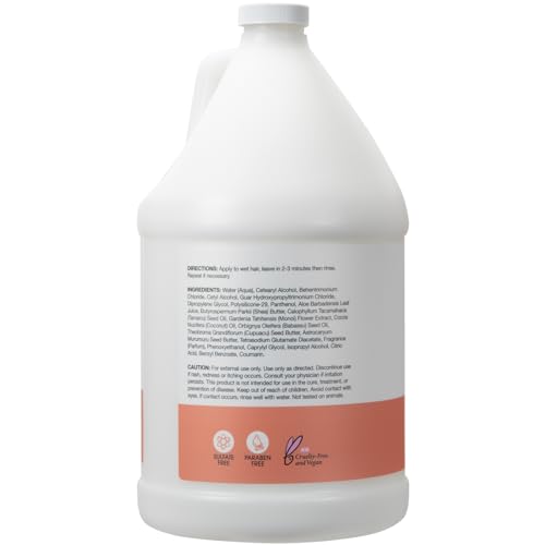 Ginger Lily Farms Salon Formula FrizzFreeze Pro Anti-Frizz Conditioner for Frizzy Hair, 100% Vegan & Cruelty-Free, 1 Gallon (128 fl oz) Refill