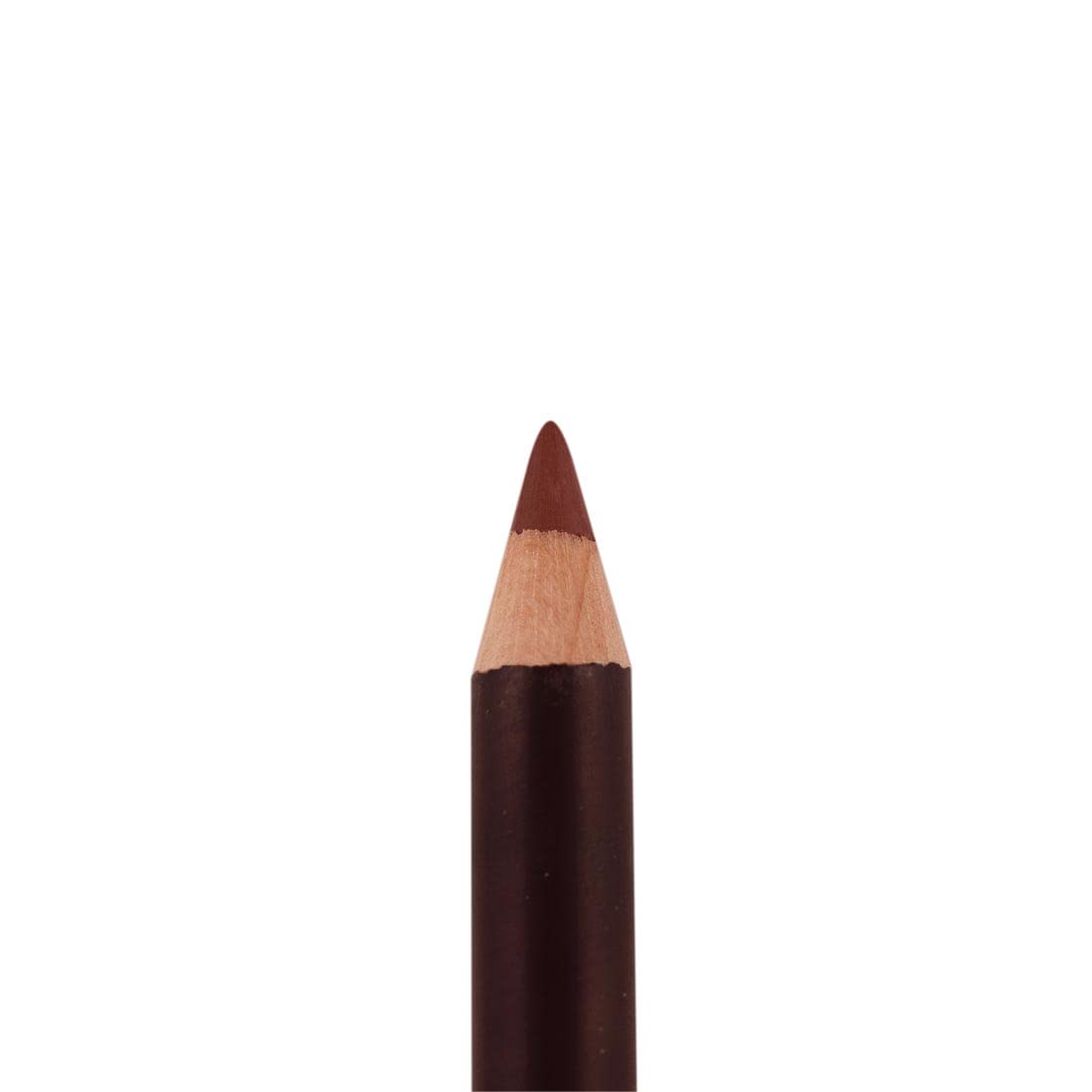 Palladio Lip Liner Pencil, Raisin