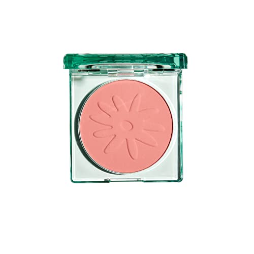 THE FACE SHOP Fruta Veil Glow Blush | Lively Complexion,Natural Look | Adheres Skin Evenly without Fallouts | Pink Garden,4.2g,K-Beauty