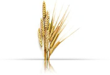 Natur ital Colour Hair Mask - Mahogany Hair - 300ml