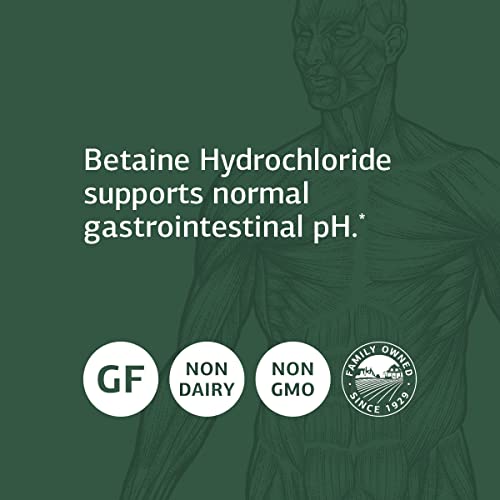 Standard Process Inc. Betaine Hydrochloride - Whole Food GI and Digestive Health Supplement with Magnesium Citrate, Betaine HCl, Ammonium Chloride, Pepsin - 180 Tablets