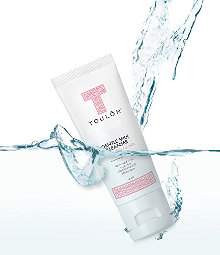 Gentle Milk Cleanser: Face Wash for Dry & Sensitive Skin; Mild Facial Cleanser with AHA, Lactic Acid, Aloe Vera & Antioxidants
