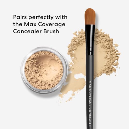 bareMinerals Well Rested Under Eye Brightener SPF 20, Loose Powder for Under Eye Brightening & Dark Circles, Mineral Powder Sunscreen SPF 20, Vegan