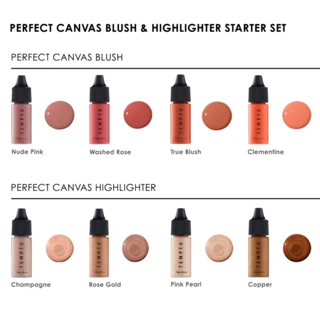 Temptu Perfect Canvas Blush & Highlighter Starter Set