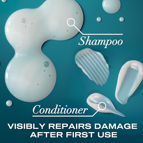 OGX Renewing + Argan Oil of Morocco Shampoo & Conditioner Set, Damage Repairing Helps Strengthen & Repair Dry, Damaged Hair, Sulfate-Free Surfactants, Four Pack, 4 x 25.4 fl. Oz