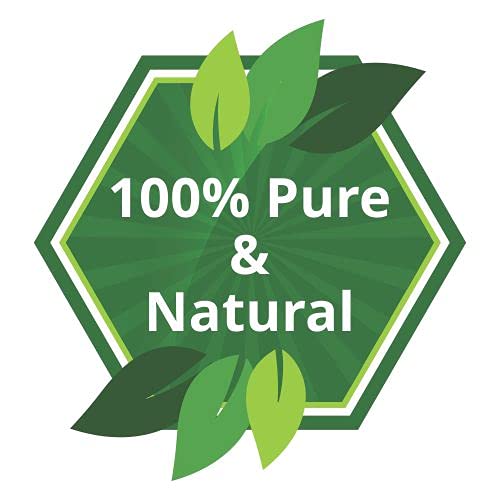 Salvia Echinacea Oil Pure and Natural Echinacea Oil Extract | Hair Care (Clean, Smooth and Silky Hair) | Skin Care (Hydrate, Nourish, Protect Skin) - 30 ML echinacea_30ml